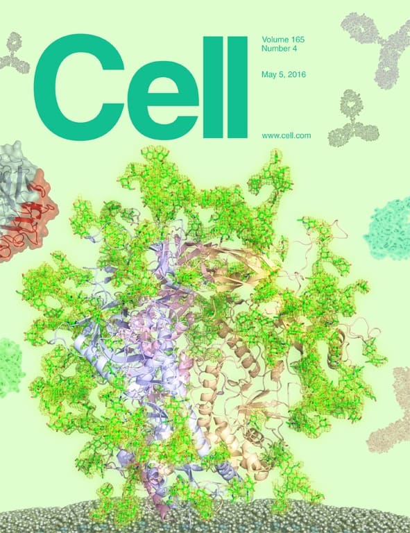 CELL journal