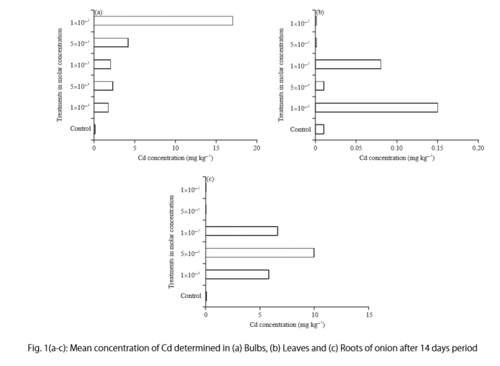 results section in research paper